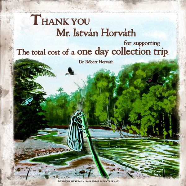 tamogatas alap EN resize